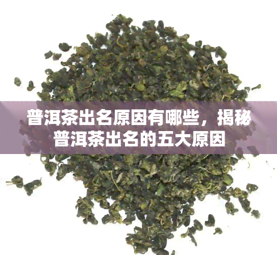 普洱茶出名原因有哪些，揭秘普洱茶出名的五大原因