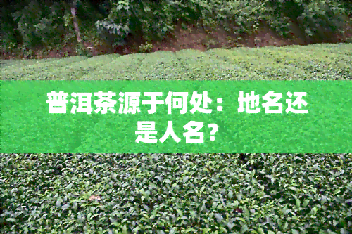 普洱茶源于何处：地名还是人名？