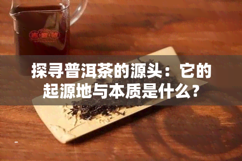 探寻普洱茶的源头：它的起源地与本质是什么？