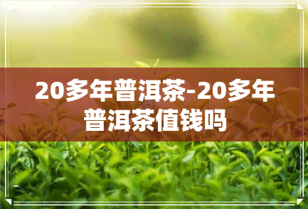 20多年普洱茶-20多年普洱茶值钱吗