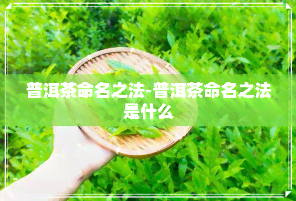 普洱茶命名之法-普洱茶命名之法是什么