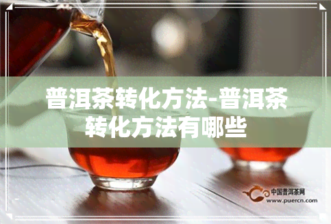 普洱茶转化方法-普洱茶转化方法有哪些