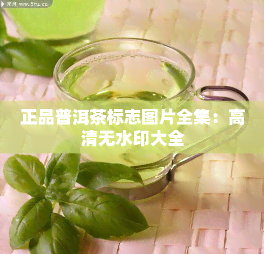 正品普洱茶标志图片全集：高清无水印大全