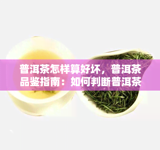 普洱茶怎样算好坏，普洱茶品鉴指南：如何判断普洱茶的优劣？