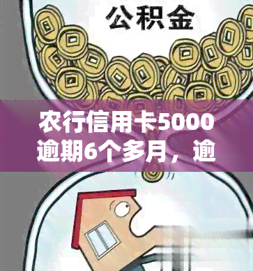 农行信用卡5000逾期6个多月，逾期六个月，农行信用卡欠款五千元右未还