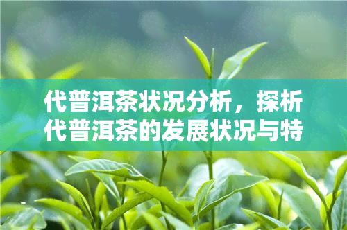 代普洱茶状况分析，探析代普洱茶的发展状况与特点