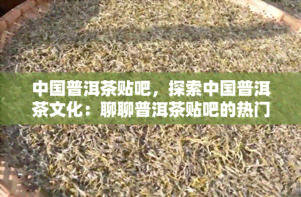 中国普洱茶贴吧，探索中国普洱茶文化：聊聊普洱茶贴吧的热门话题和讨论