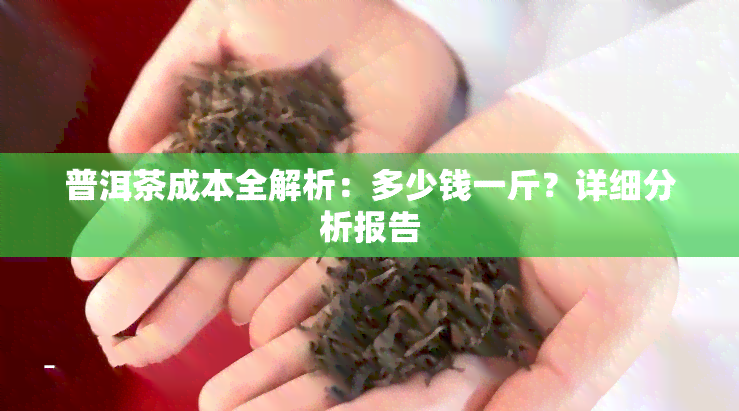 普洱茶成本全解析：多少钱一斤？详细分析报告