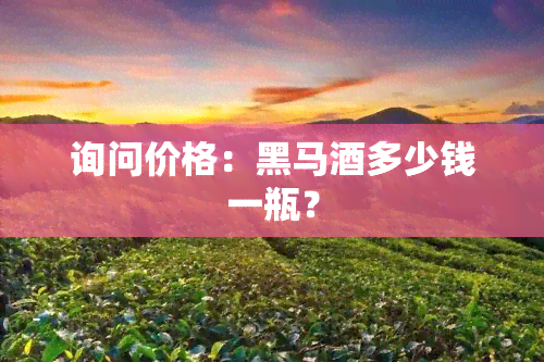 询问价格：黑马酒多少钱一瓶？