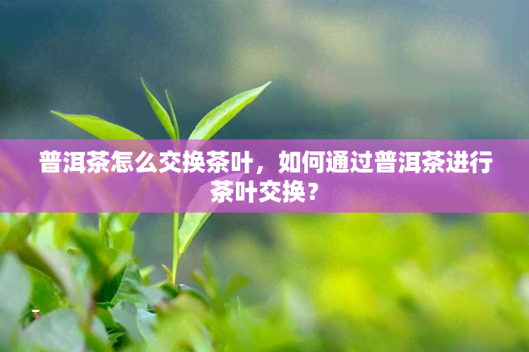 普洱茶怎么交换茶叶，如何通过普洱茶进行茶叶交换？