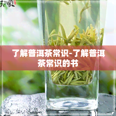 了解普洱茶常识-了解普洱茶常识的书