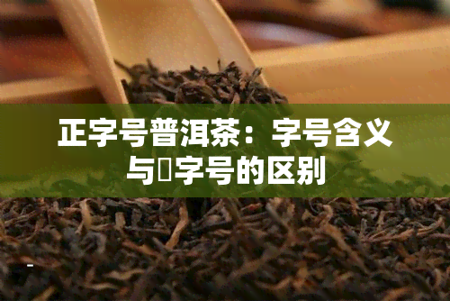 正字号普洱茶：字号含义与囍字号的区别