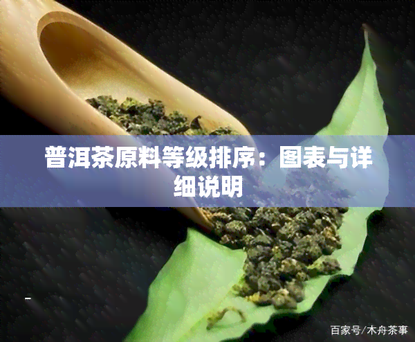 普洱茶原料等级排序：图表与详细说明