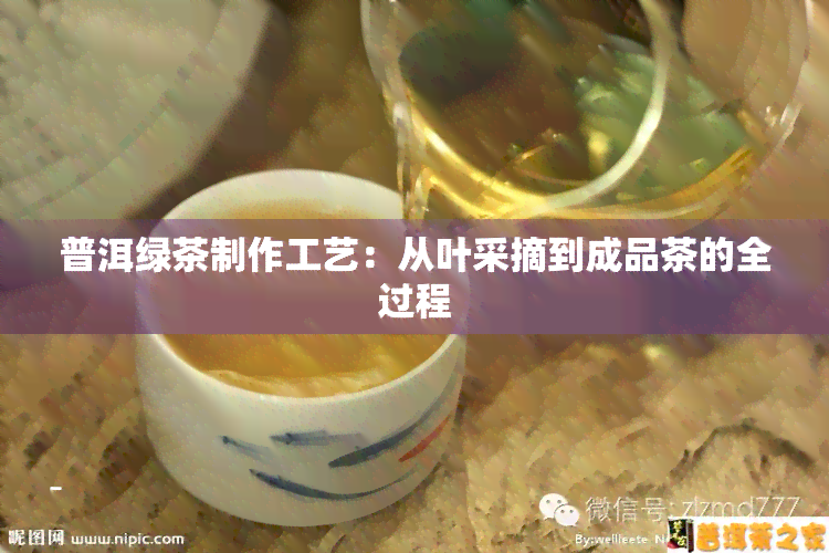 普洱绿茶制作工艺：从叶采摘到成品茶的全过程