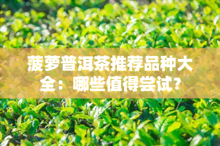 菠萝普洱茶推荐品种大全：哪些值得尝试？