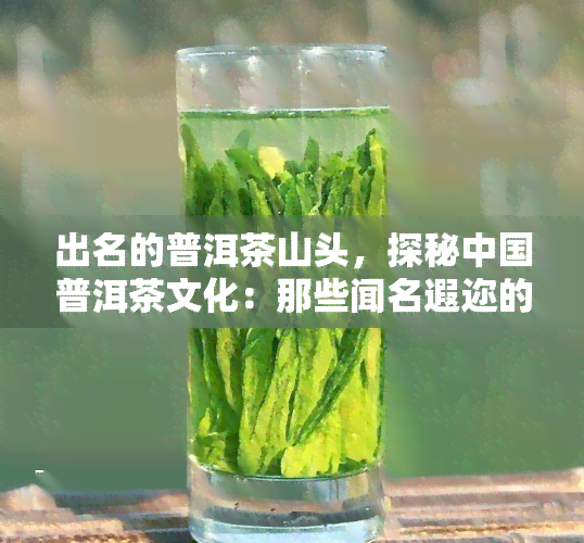 出名的普洱茶山头，探秘中国普洱茶文化：那些闻名遐迩的山头