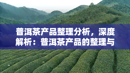 普洱茶产品整理分析，深度解析：普洱茶产品的整理与分析