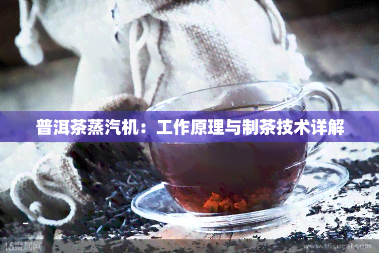 普洱茶蒸汽机：工作原理与制茶技术详解