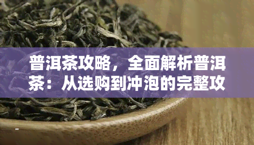 普洱茶攻略，全面解析普洱茶：从选购到冲泡的完整攻略