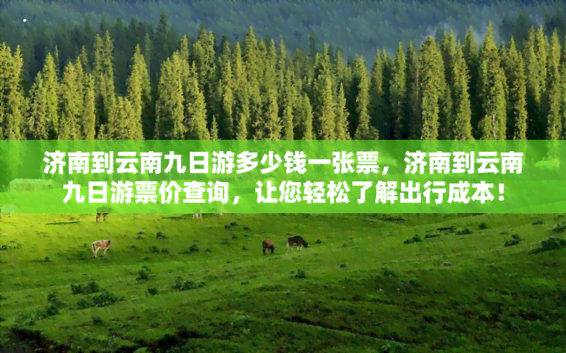 济南到云南九日游多少钱一张票，济南到云南九日游票价查询，让您轻松了解出行成本！