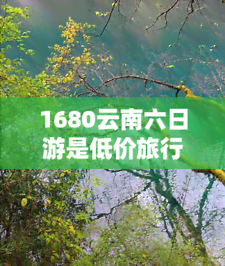 1680云南六日游是低价旅行团吗？真实可靠吗？仅需1680元，值得信赖吗？