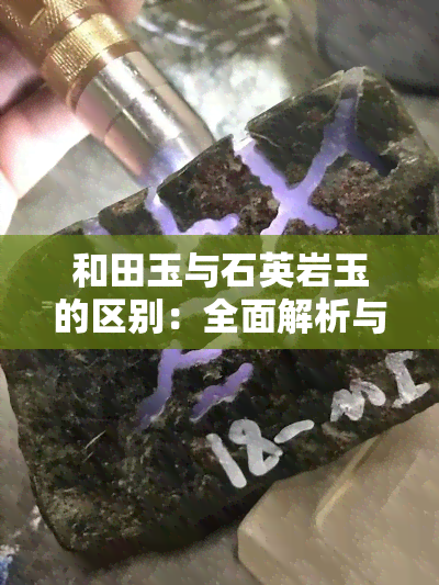 和田玉与石英岩玉的区别：全面解析与对比视频