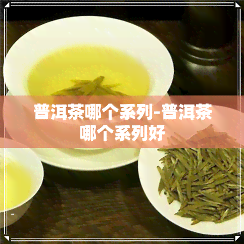 普洱茶哪个系列-普洱茶哪个系列好