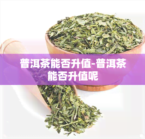 普洱茶能否升值-普洱茶能否升值呢