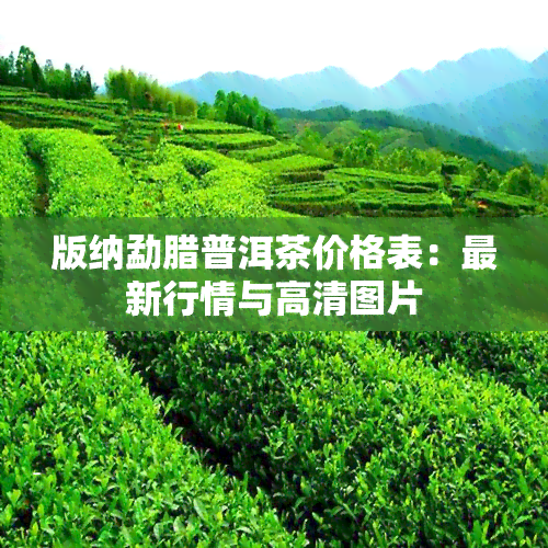 版纳勐腊普洱茶价格表：最新行情与高清图片