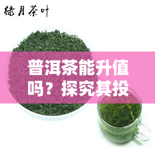 普洱茶能升值吗？探究其投资价值与影响因素