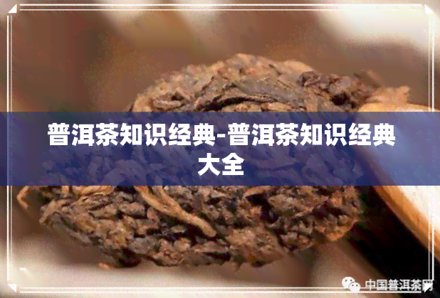 普洱茶知识经典-普洱茶知识经典大全