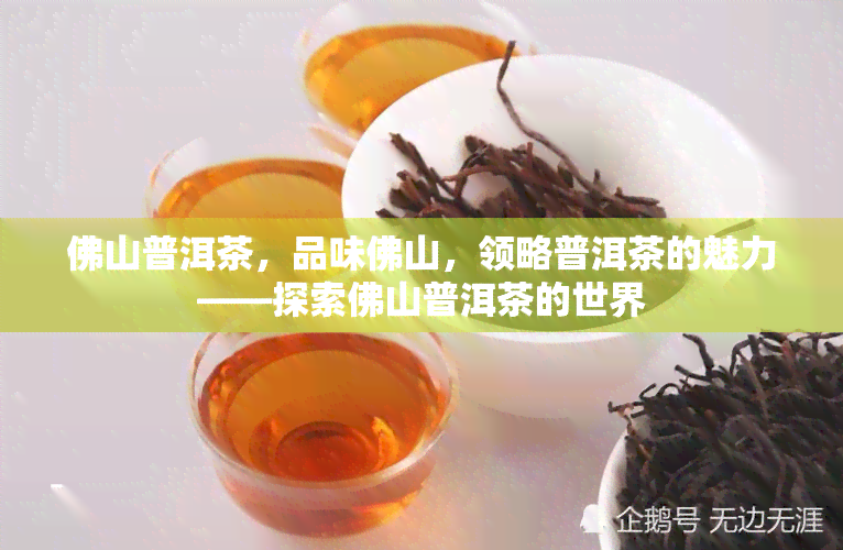 佛山普洱茶，品味佛山，领略普洱茶的魅力——探索佛山普洱茶的世界