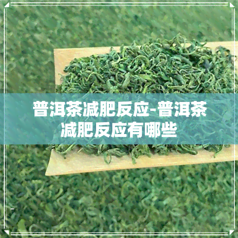 普洱茶减肥反应-普洱茶减肥反应有哪些