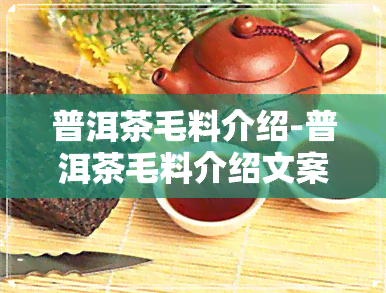 普洱茶毛料介绍-普洱茶毛料介绍文案