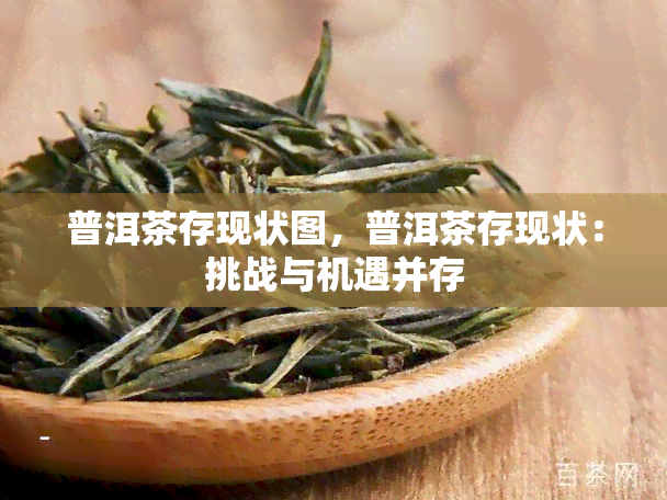 普洱茶存现状图，普洱茶存现状：挑战与机遇并存