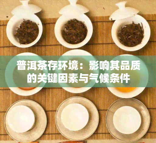 普洱茶存环境：影响其品质的关键因素与气候条件