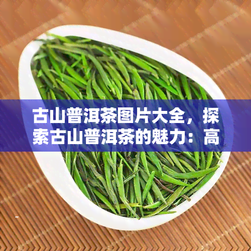 古山普洱茶图片大全，探索古山普洱茶的魅力：高清图片大全