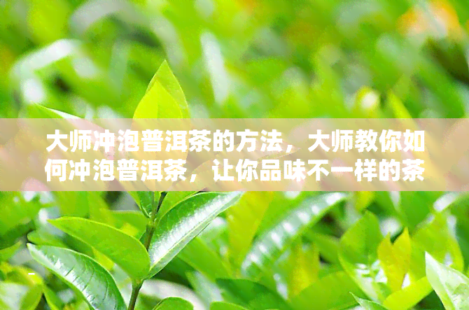 大师冲泡普洱茶的方法，大师教你如何冲泡普洱茶，让你品味不一样的茶香！