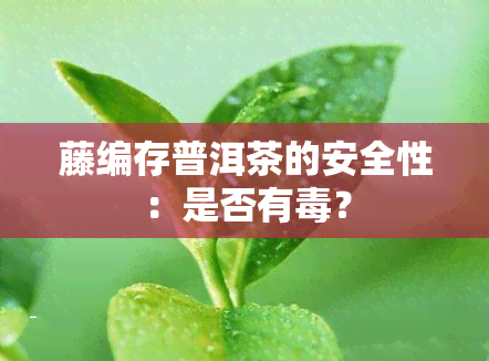 藤编存普洱茶的安全性：是否有？