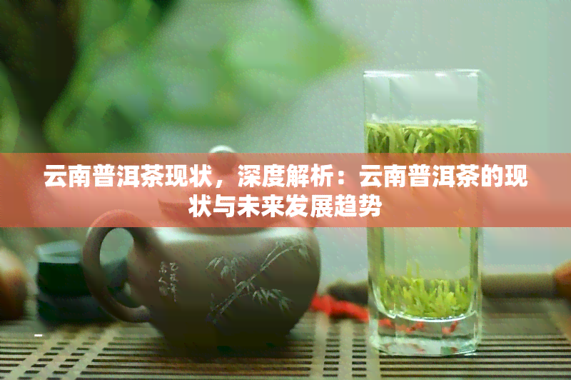 云南普洱茶现状，深度解析：云南普洱茶的现状与未来发展趋势