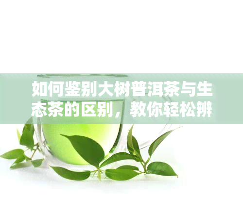 如何鉴别大树普洱茶与生态茶的区别，教你轻松辨别：大树普洱茶与生态茶的五大区别