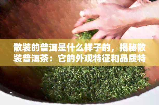 散装的普洱是什么样子的，揭秘散装普洱茶：它的外观特征和品质特点