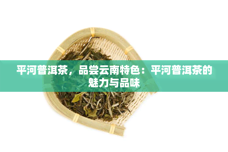 平河普洱茶，品尝云南特色：平河普洱茶的魅力与品味