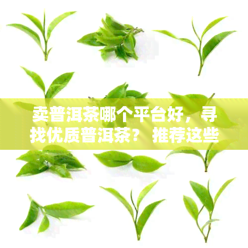 卖普洱茶哪个平台好，寻找优质普洱茶？ 推荐这些优秀的在线销售平台！