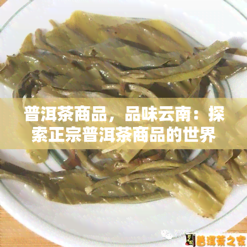 普洱茶商品，品味云南：探索正宗普洱茶商品的世界