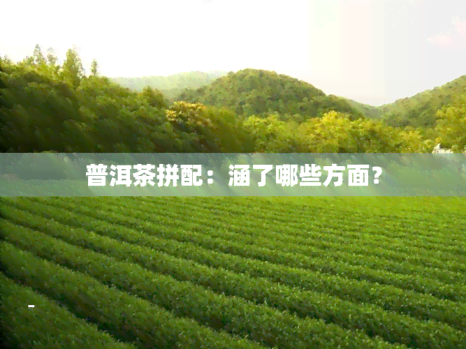 普洱茶拼配：涵了哪些方面？