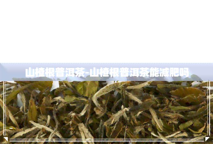 山楂根普洱茶-山楂根普洱茶能减肥吗