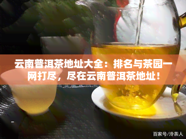 云南普洱茶地址大全：排名与茶园一网打尽，尽在云南普洱茶地址！