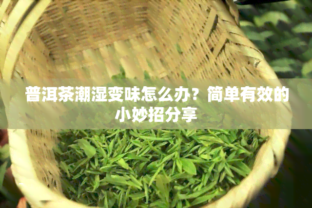 普洱茶潮湿变味怎么办？简单有效的小妙招分享