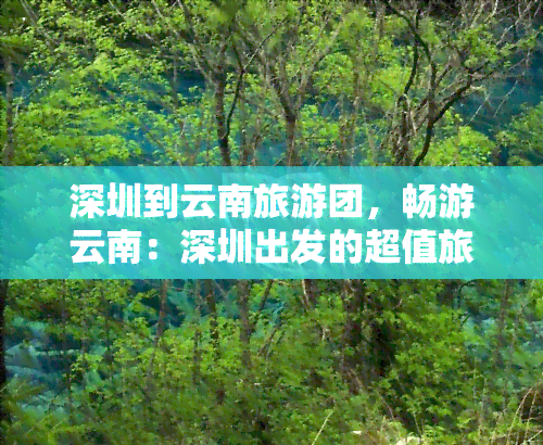 深圳到云南旅游团，畅游云南：深圳出发的超值旅游团